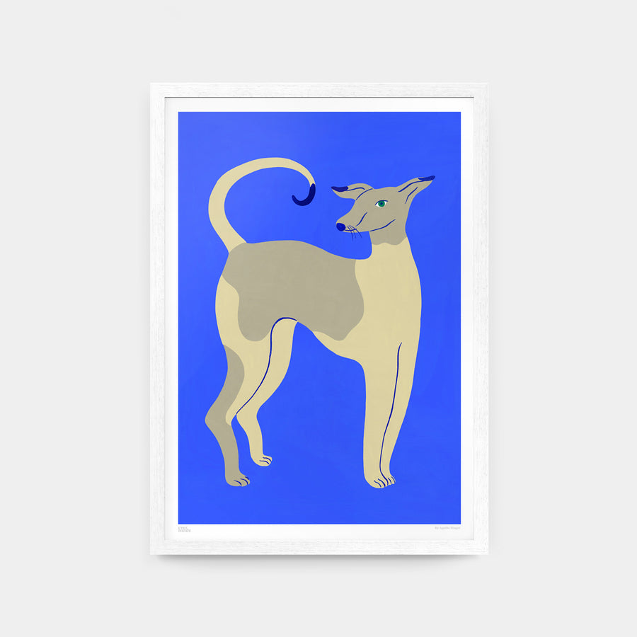 Young Dog on Blue