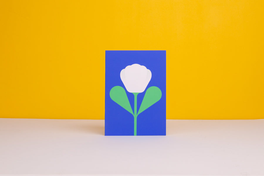 White Tulip Greetings Card by Giacomo Bagnara