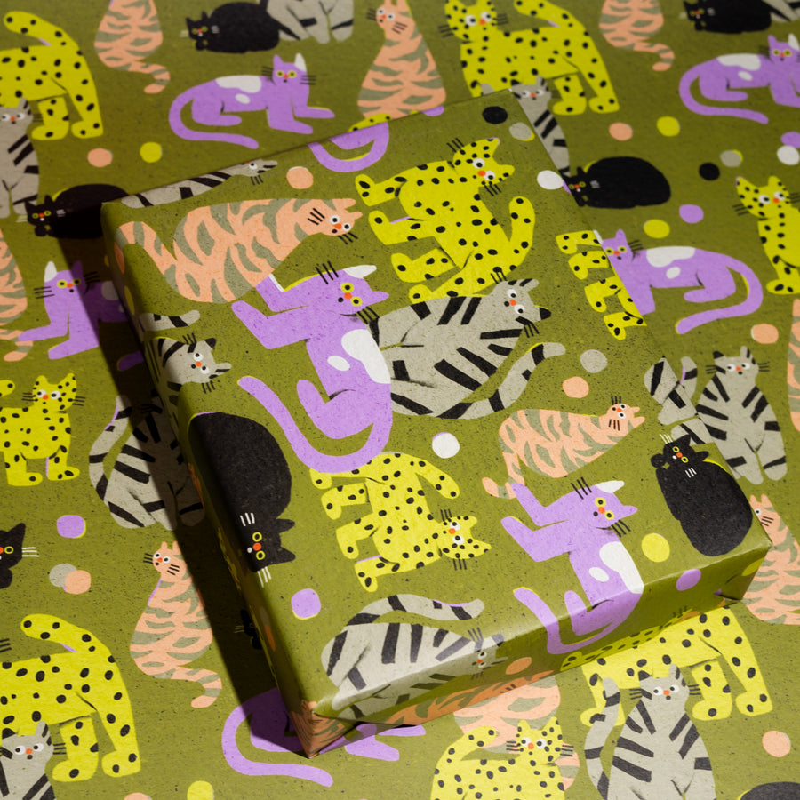 Suprised Cats Gift Wrap by Zsófia Győrfi