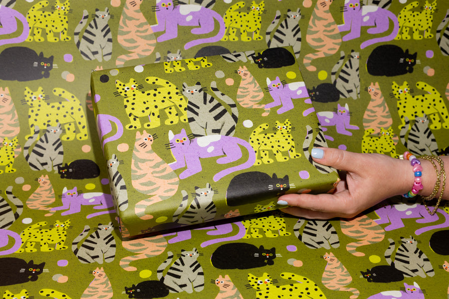 Suprised Cats Gift Wrap by Zsófia Győrfi