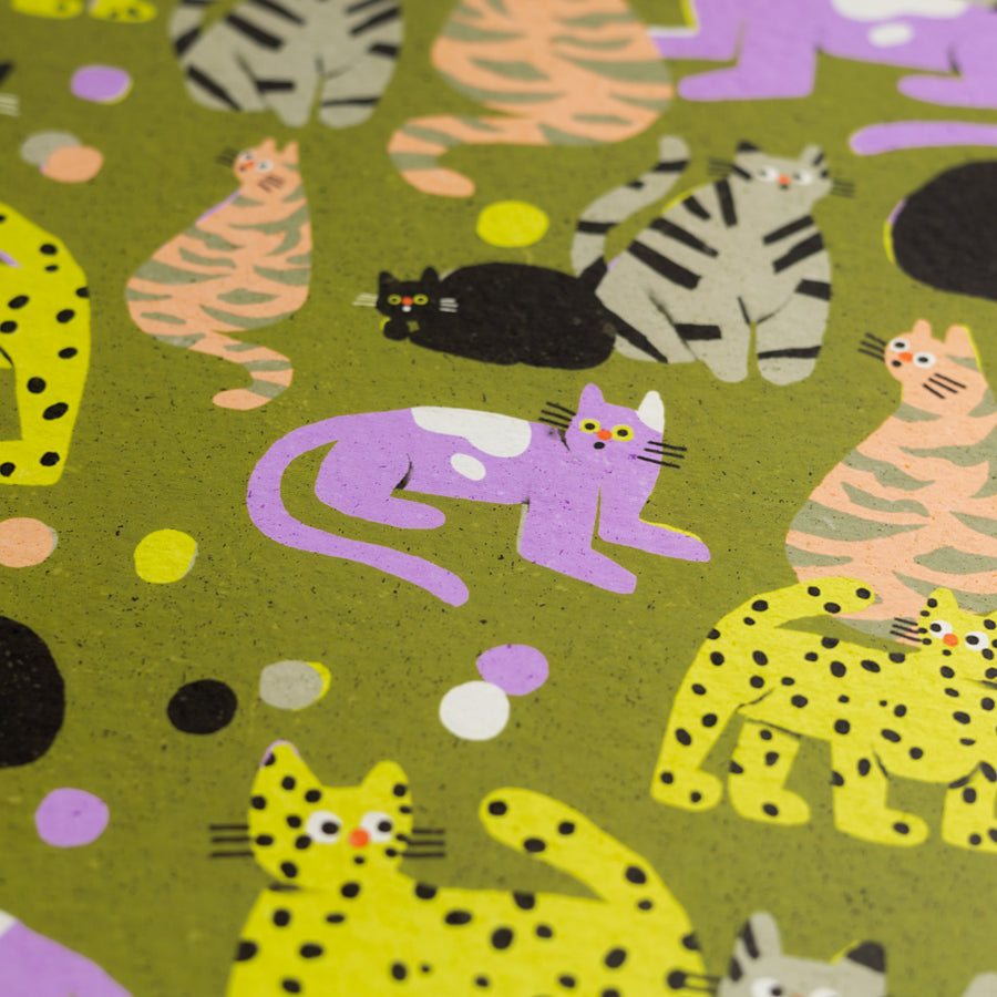 Suprised Cats Gift Wrap by Zsófia Győrfi