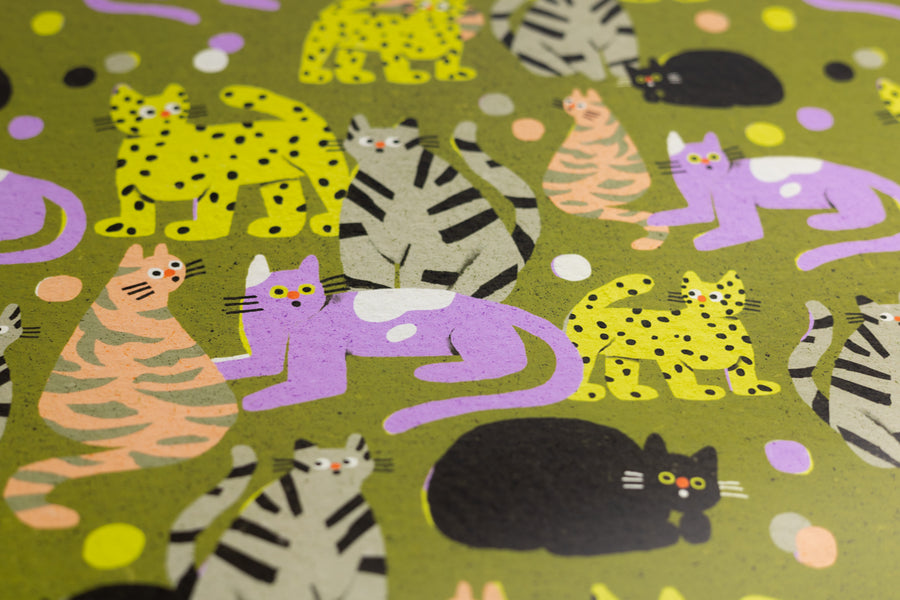 Suprised Cats Gift Wrap by Zsófia Győrfi