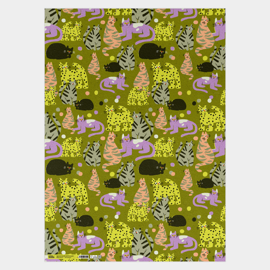 Suprised Cats Gift Wrap by Zsófia Győrfi