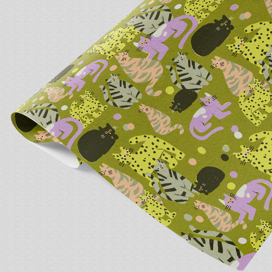 Suprised Cats Gift Wrap by Zsófia Győrfi