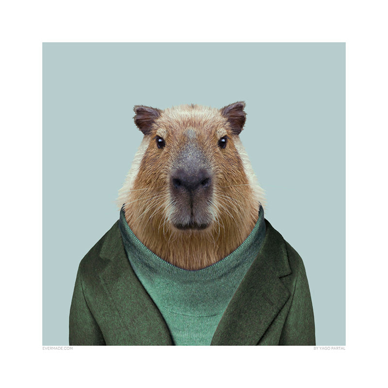 Capybara - Evermade