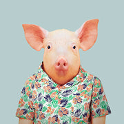 Pig - Evermade