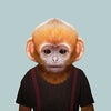 Dusky Leaf Monkey - Evermade
