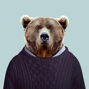 Grizzly Bear - Evermade