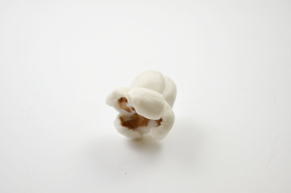 POP CORN Pin– Evermade