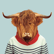 Scottish Cow - Evermade