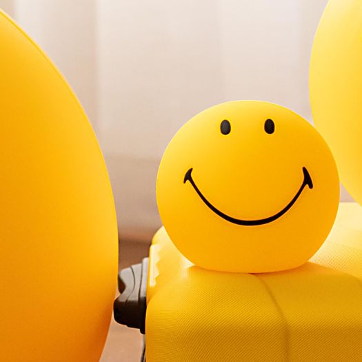 Smiley Bundle of Light (Small - 12cm)